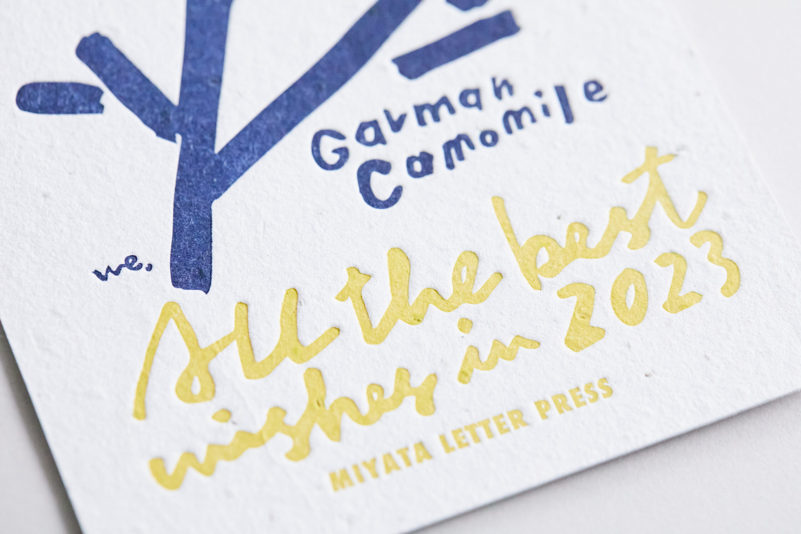 シードペーパー®️の印刷